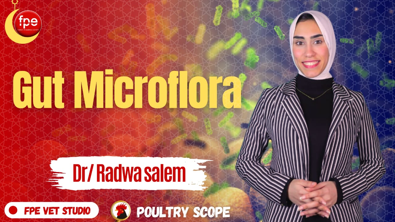 poultry scope ep 5 | Gut microflora