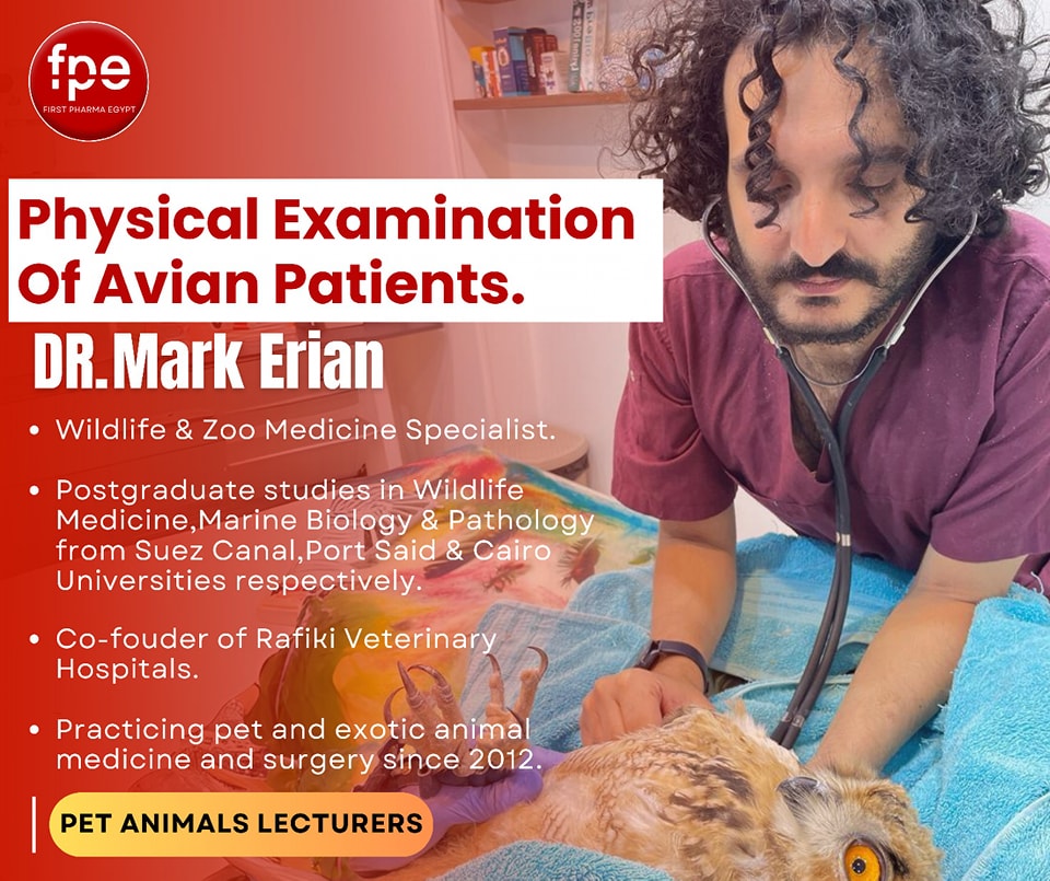Physical examination of avian patient